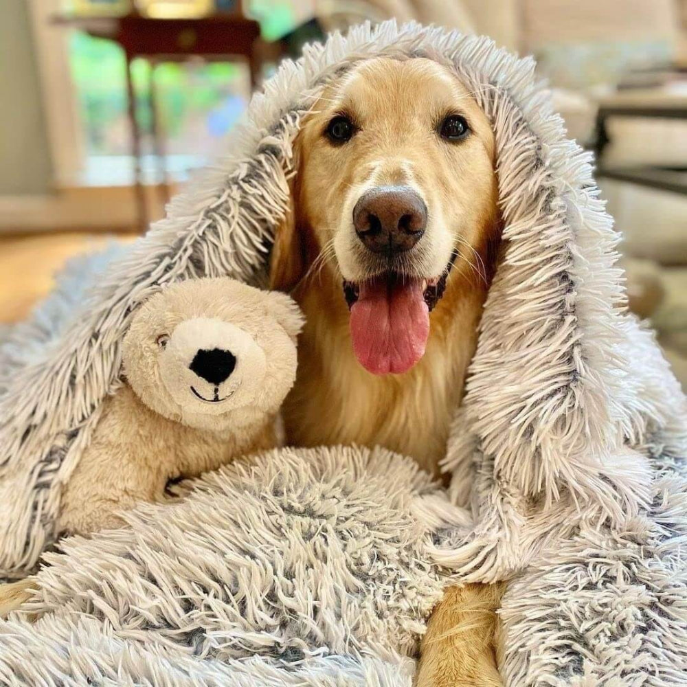 Osterly Calming Pet Blanket – Fluffy Washable Dog and Cat Throw