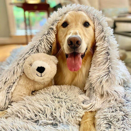 Osterly Calming Pet Blanket – Fluffy Washable Dog and Cat Throw