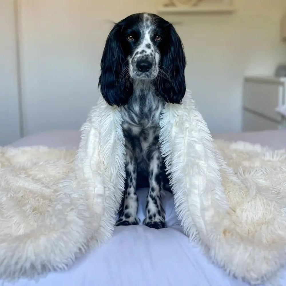 Osterly Calming Pet Blanket – Fluffy Washable Dog and Cat Throw