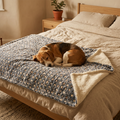Plush Dog Blanket shown in a warm, cosy home setting