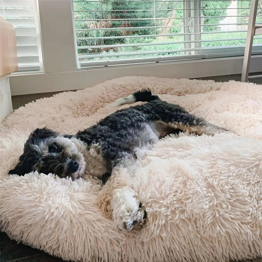 Osterly Large Dog Bed – Plush Cushioned Bed for Big Breeds