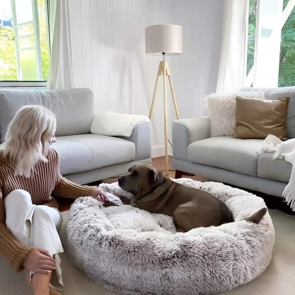 Osterly Large Dog Bed – Plush Cushioned Bed for Big Breeds