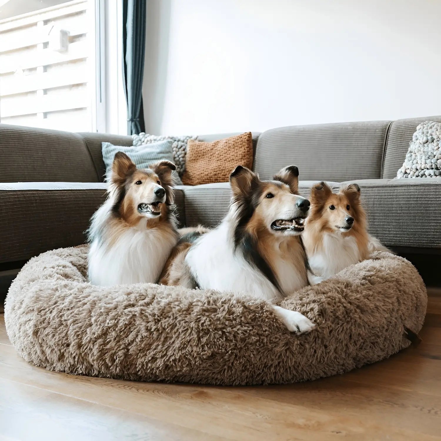 Osterly Large Dog Bed – Plush Cushioned Bed for Big Breeds