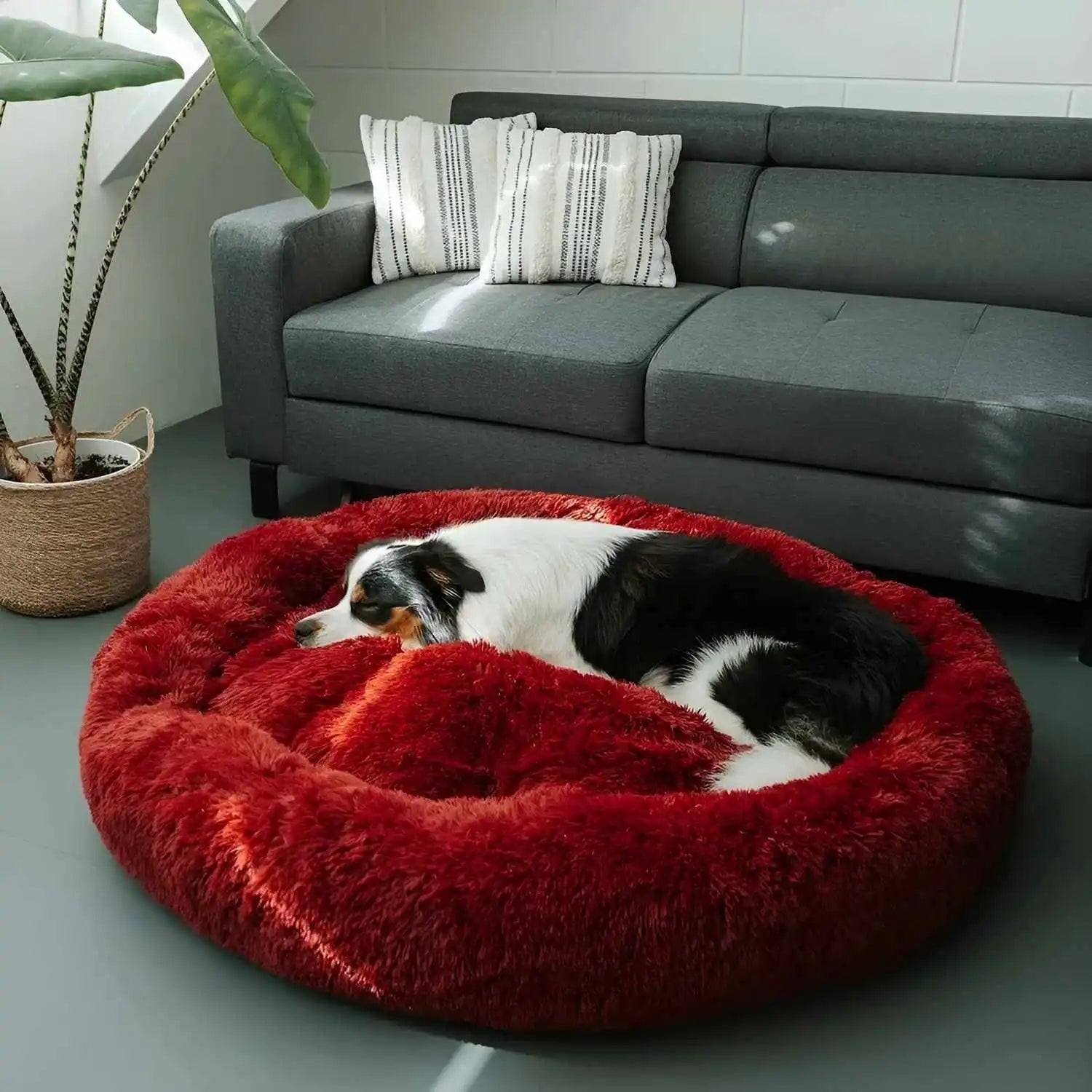 Osterly Large Dog Bed – Plush Cushioned Bed for Big Breeds