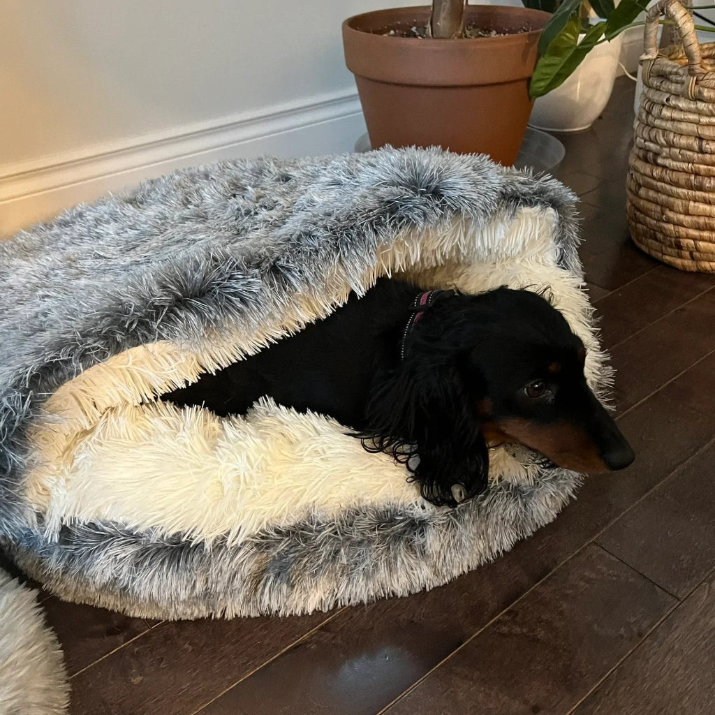 Osterly Plush Pet Cave Bed – Covered Cat and Small Dog House